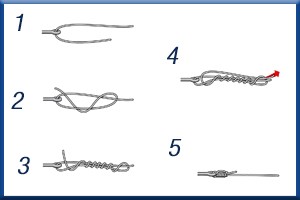 5 Strong Terminal Knot (Six-turn